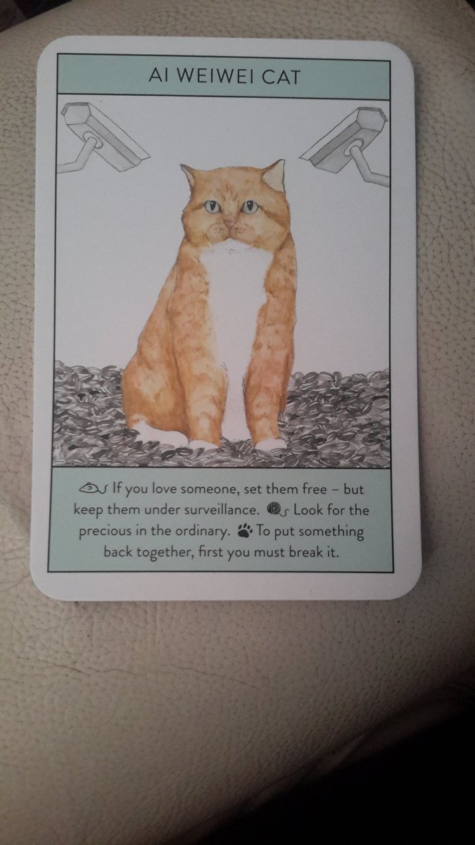 Key:Mouse = relationshipsBall of wool = lifePaw print = workWe begin with Ai Weiwei Cat