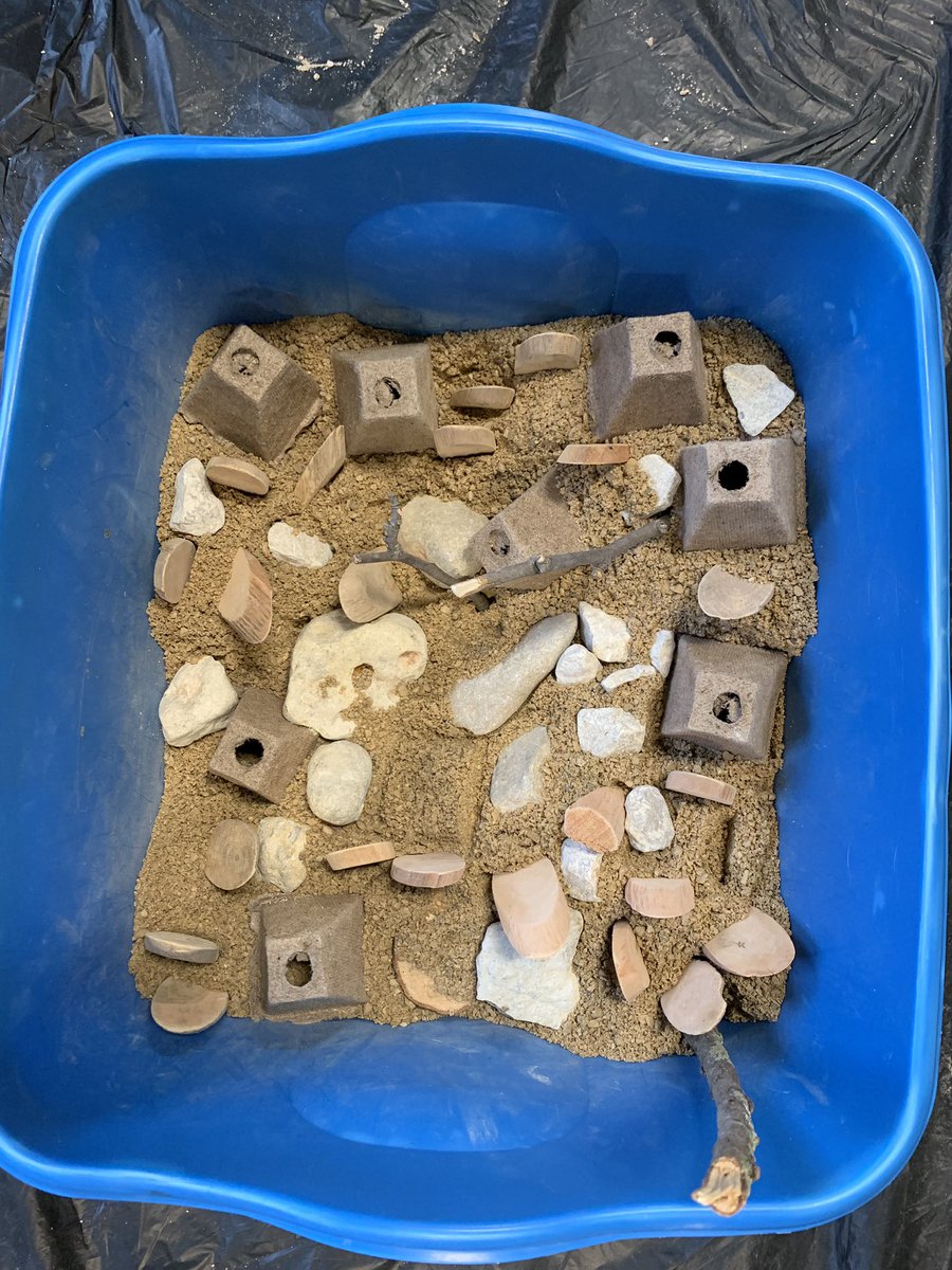 SullivansKinder's tweet photo. A little bit of rain won’t hold us back from having our nature makerspace! #risd #robinsonprimary #makerspace https://t.co/EMOIXAKQzA