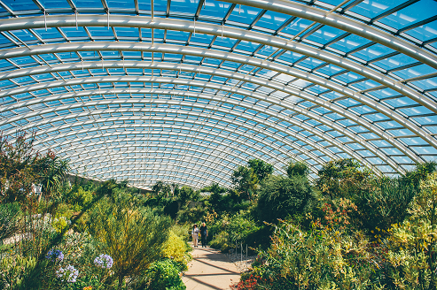 ecoattractions's tweet photo. Delighted to hear one of our members, @walesbotanic @GTFCymru have increased their #visitornumbers by 50,000 in the last three years. Congratulations! https://t.co/zWjVAF7eCg