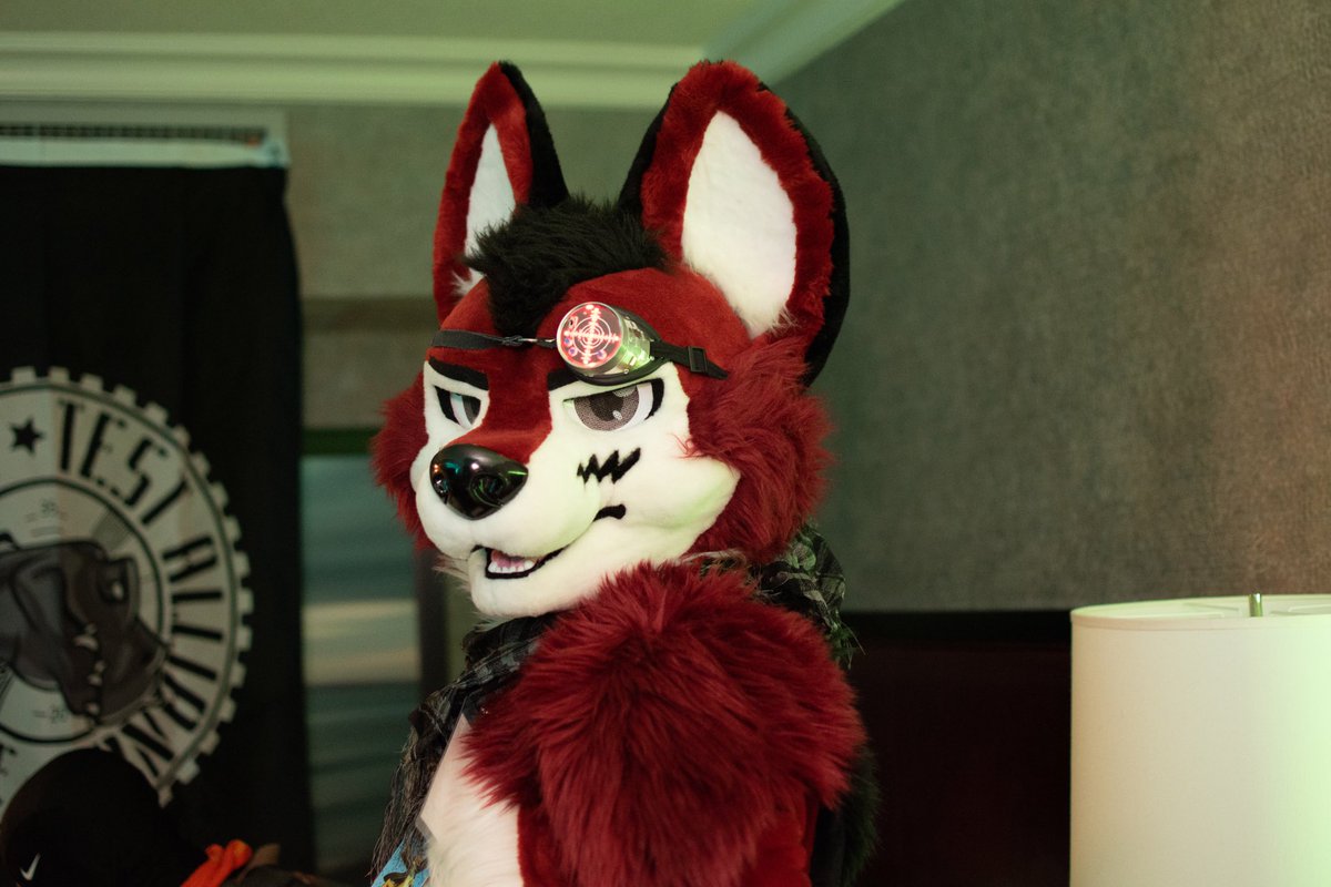 wolf_ezo's tweet photo. Making final arrangements and mentally preparing for battle. #WolfWednesday #TestAlliance
#furry #fursuit https://t.co/Y5rySEfz71