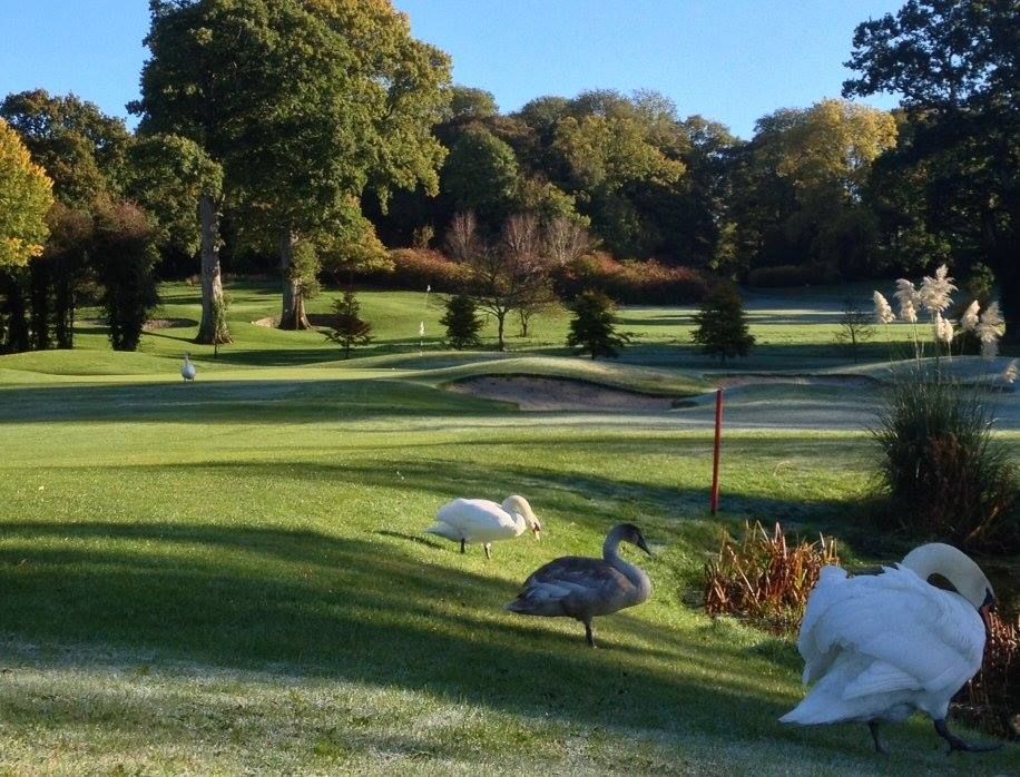 Easter Monday Team of 4 Open Competition €25.00
#Easter #team #open #competition