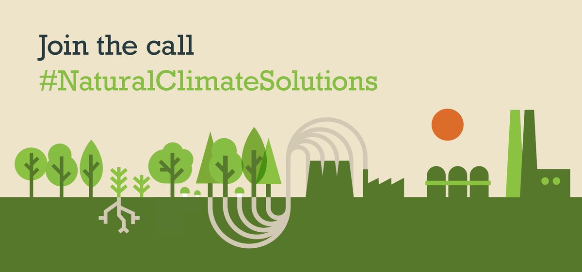 RewildingB's tweet image. Tell the UK government it’s time to restore nature petition.parliament.uk/petitions/2546…
#NaturalClimateSolutions