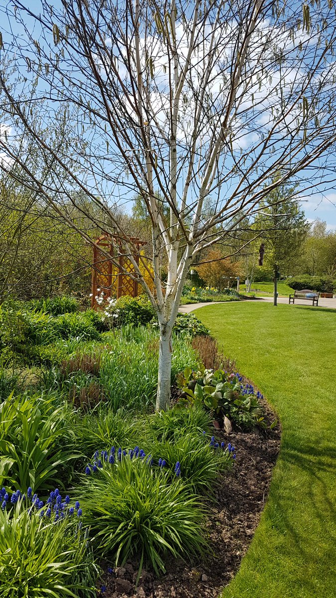 It's an absolute pleasure to work in these gardens at @severnhospice  come and see us at Open Garden Day Sun 2nd June 1-4pm, #ApleyCastle  #volunteers #gardens #fundraising @hospiceuk