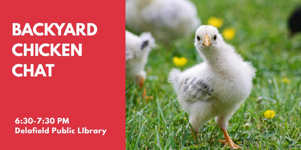 Delafield Library tweet media