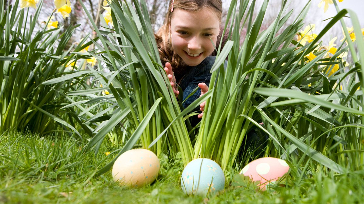HumbleISD_DDI's tweet photo. Twitter Challenge: This is the week for Egg Hunts, tweet about something your class has recently discovered. Use #HumbleClassTweets https://t.co/jMG9YbLAqs