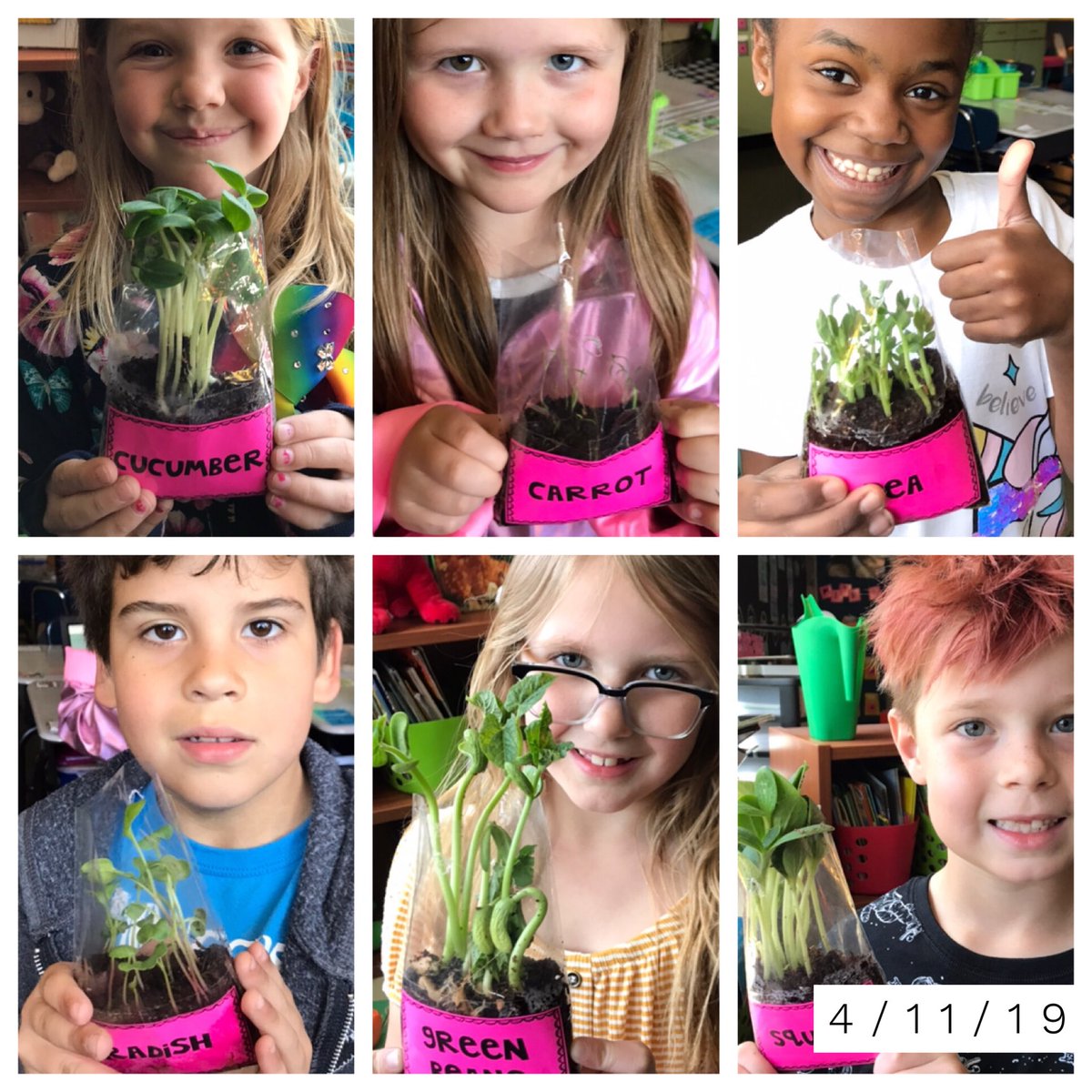 ashley_hinck's tweet image. Look at the growth our vegetable plants have made in just 6 days!!  Left is today, 4/17 and right is 4/11🌿🌶🥬🥒🥕🌱 @LBSharks @isdscience #isdstrong #isdfirst #goingbeyond #sharks4life #vegetablegarden #plantgrowth
