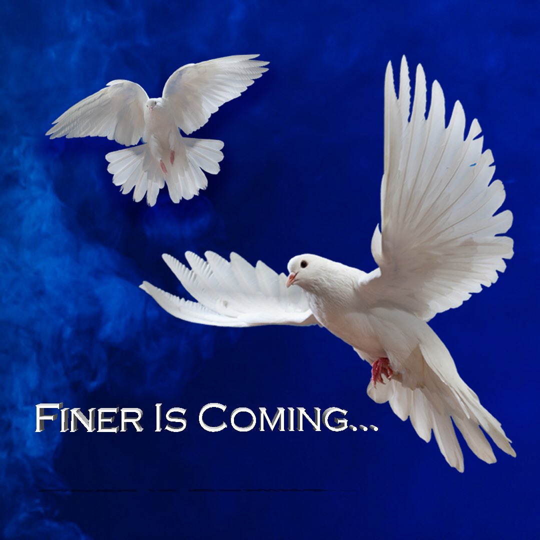 USFZetas's tweet photo. 🕊💙 https://t.co/l9g7GY6fko