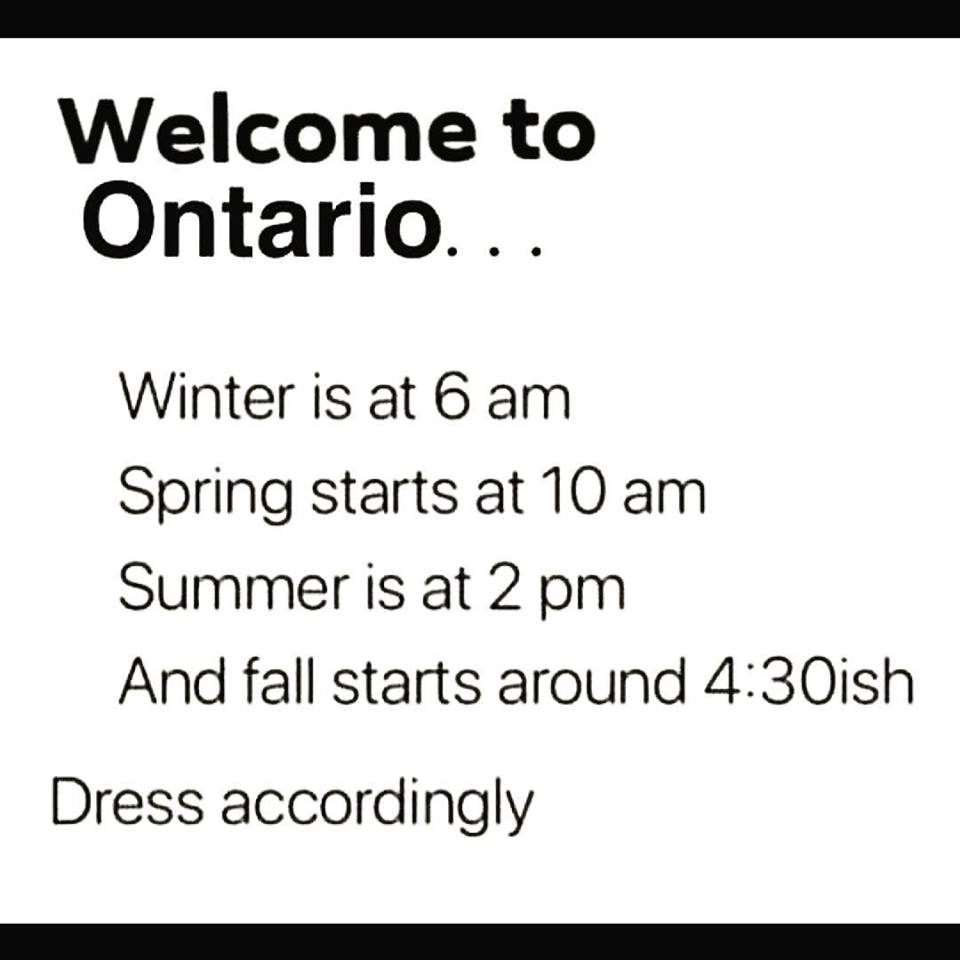 southpondfarms's tweet photo. There has never been a more accurate meme! Though I am not complaining about this gorgeous sunshine we are receiving right now!! πββ€ #OntarioSpring #MotherNature https://t.co/8D53kaPIk9