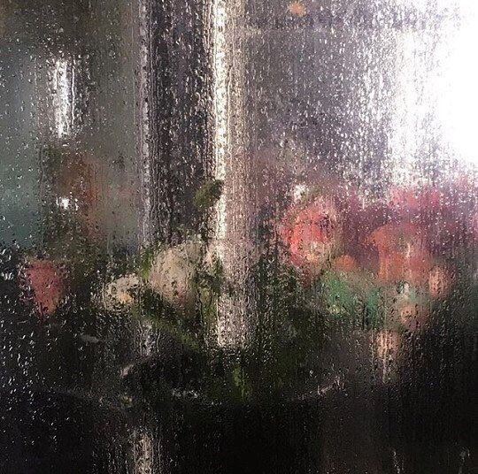PLPOPYY's tweet photo. 🌧 #สัญญาฝนเทียม (kaisoo)
☔️ rain promise : 19
💚 https://t.co/h7xTN9nB9U

“ยิ้มก่อนอ่าน ตาหวานก่อนเปิด” https://t.co/T9BMIT5CuN
