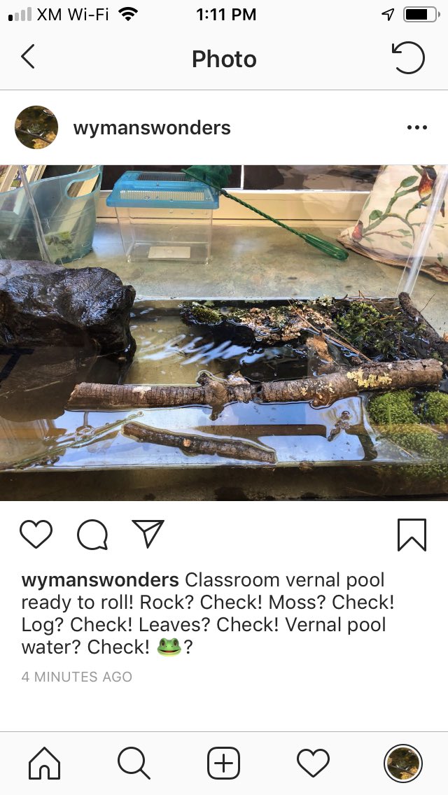 Ready to head start our wood frogs, <a href="/zoonewengland/">Zoo New England</a> #grassrootswildlife🐸 #vernalpool