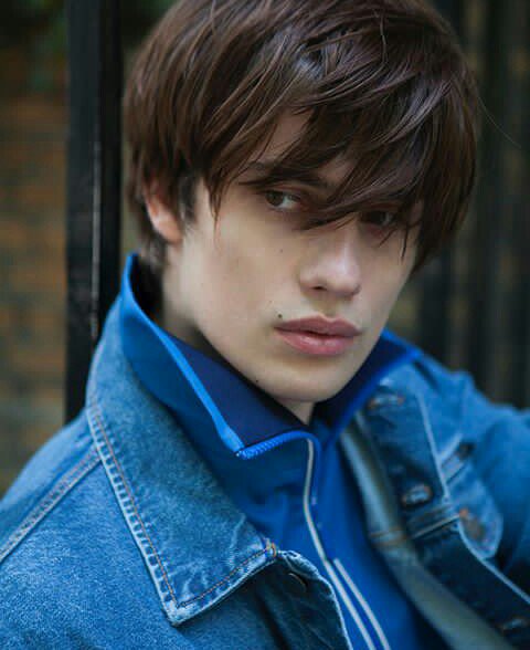 『Aвяαнαмʸᵒᵘᶰᵍ 』 tweet media