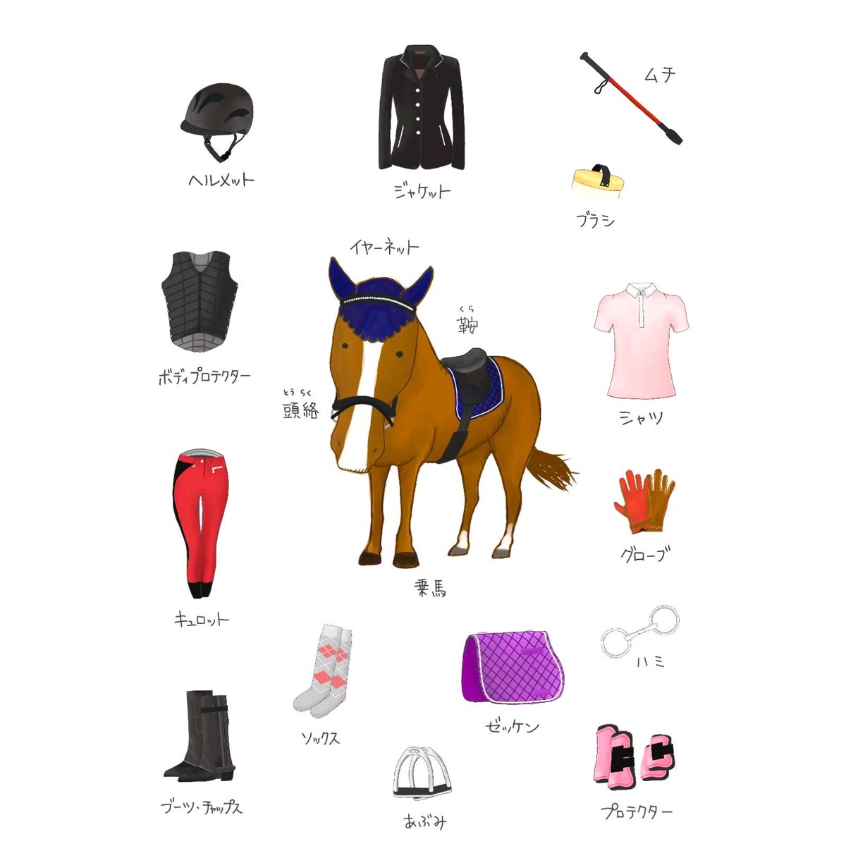 乗馬用品プラス (@joba_pls) / X 