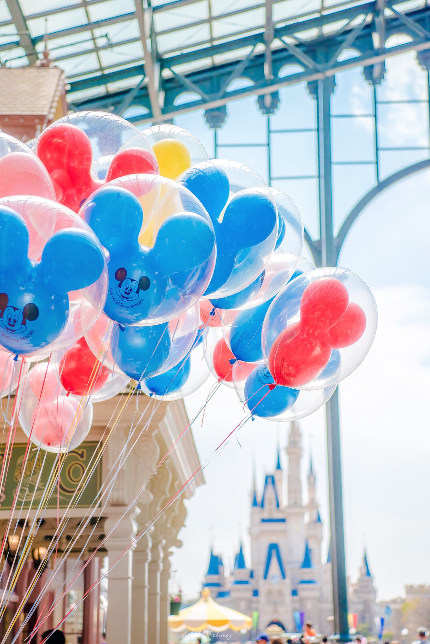 Twitterissa 東京ディズニーランドによく似合う ミッキー型の風船を片手に持てば 最高の1日がはじまる