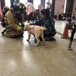 Photo by Fire Chief Osborne (@ChiefOsborne)