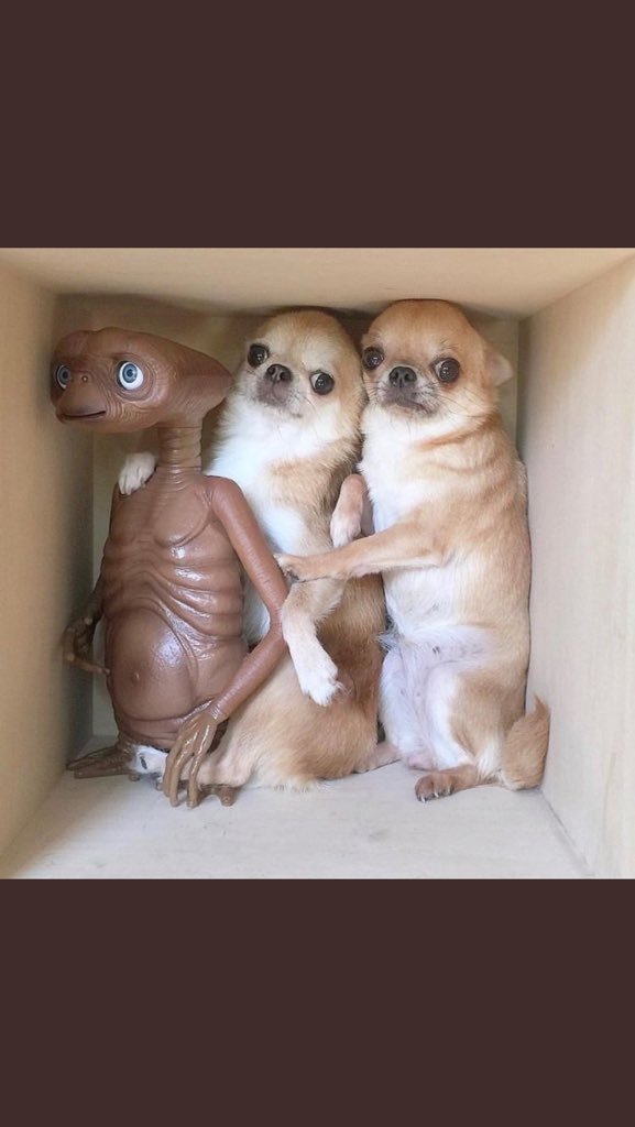 Come to the Minneapolis show tonight. All of the shows we've played in bookstores so far have been good, and it's with some more old friends. @ moon palace