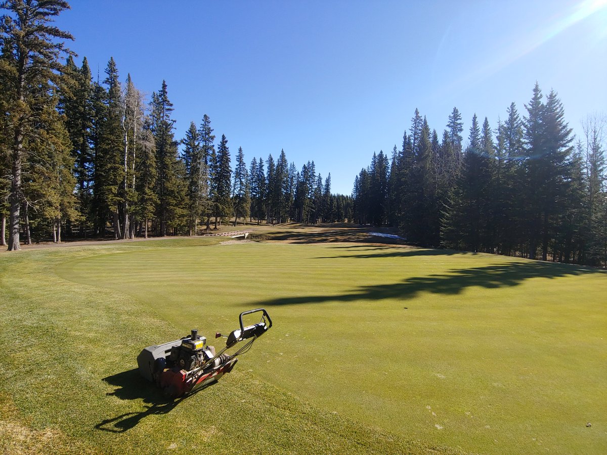 Throwing down a few lasers! First mow of the season.
