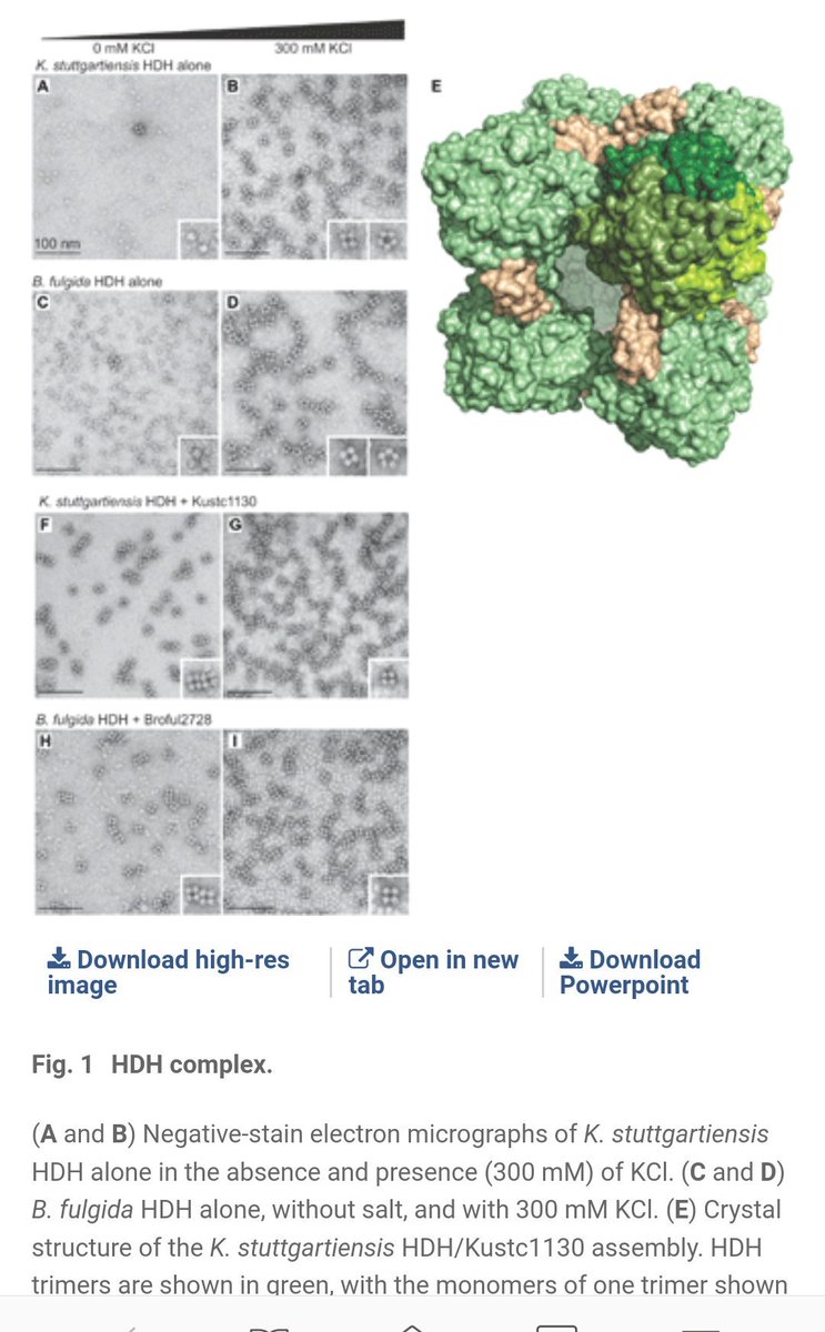 book hygrothermal behavior building pathology