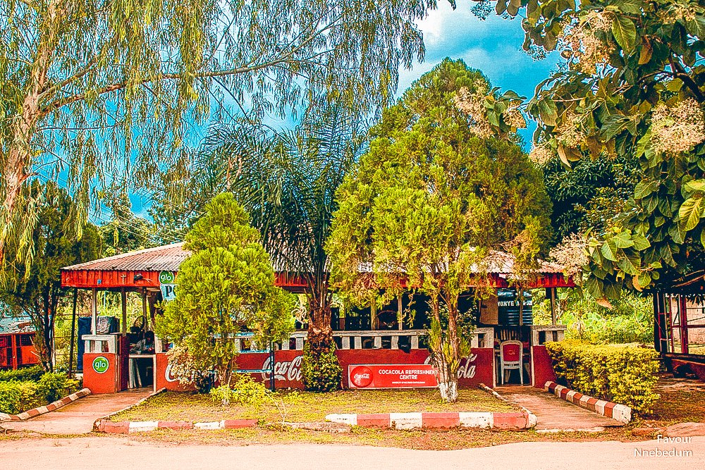 iam_ifechi's tweet photo. My school is finer than yours. #UNN #Ifechiworks #CocaCola #landscapelovers https://t.co/wK0sf2EqK7