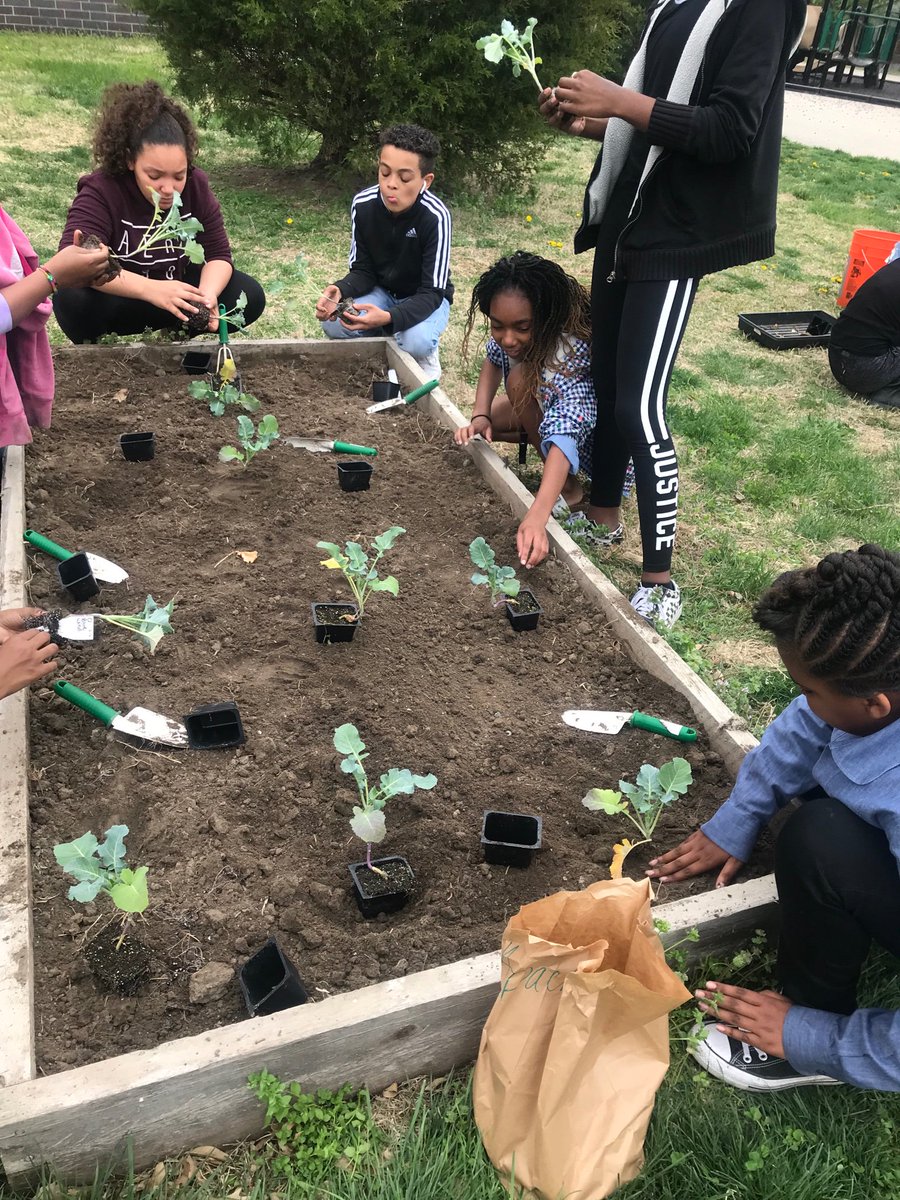 SlaterMonisha's tweet photo. It’s garden time!!! #schoolgarden #healthyeating #greenthumb https://t.co/pSDEdjY59n