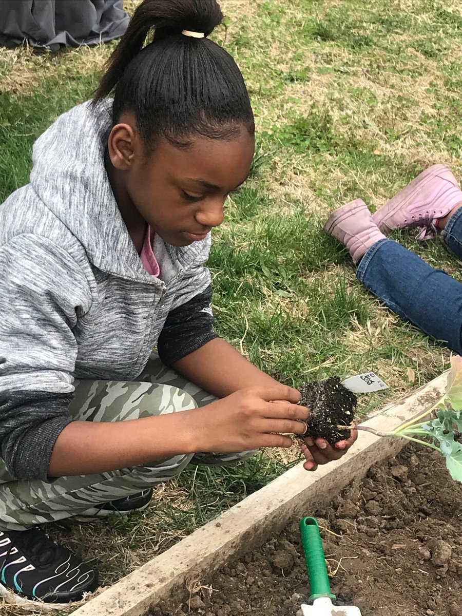 SlaterMonisha's tweet photo. It’s garden time!!! #schoolgarden #healthyeating #greenthumb https://t.co/pSDEdjY59n