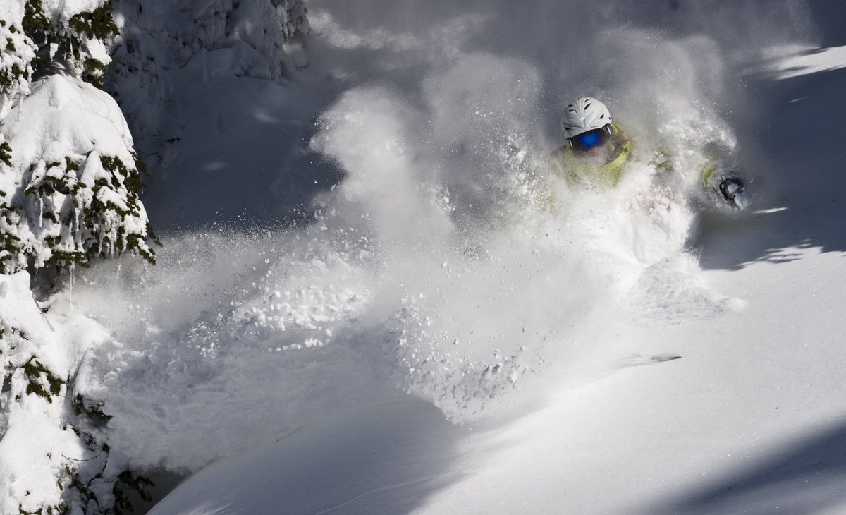 Freeride Entertainment tweet media