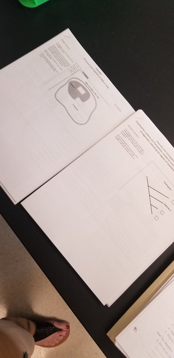 EHSLSciences's tweet photo. BIOLOGY EOC FLEX TUTORING
So busy Reviewing Sample Questions, I forgot to take a picture 😁
🦈 16 Students
🦈 Snacks
🦈 Review of Released Questions
#ebshare #biology #eoc #endofcourse #exam #scienceteacher https://t.co/UJZzCje9vJ
