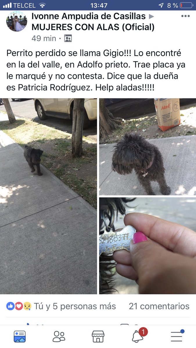 La Nota Positiva tweet media