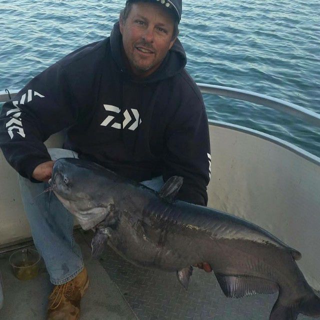 Anglerbros's tweet image. Campfire Cones are the newest fave on a trip! Easy to make too. #biteon -  bit.ly/2UoqYS3