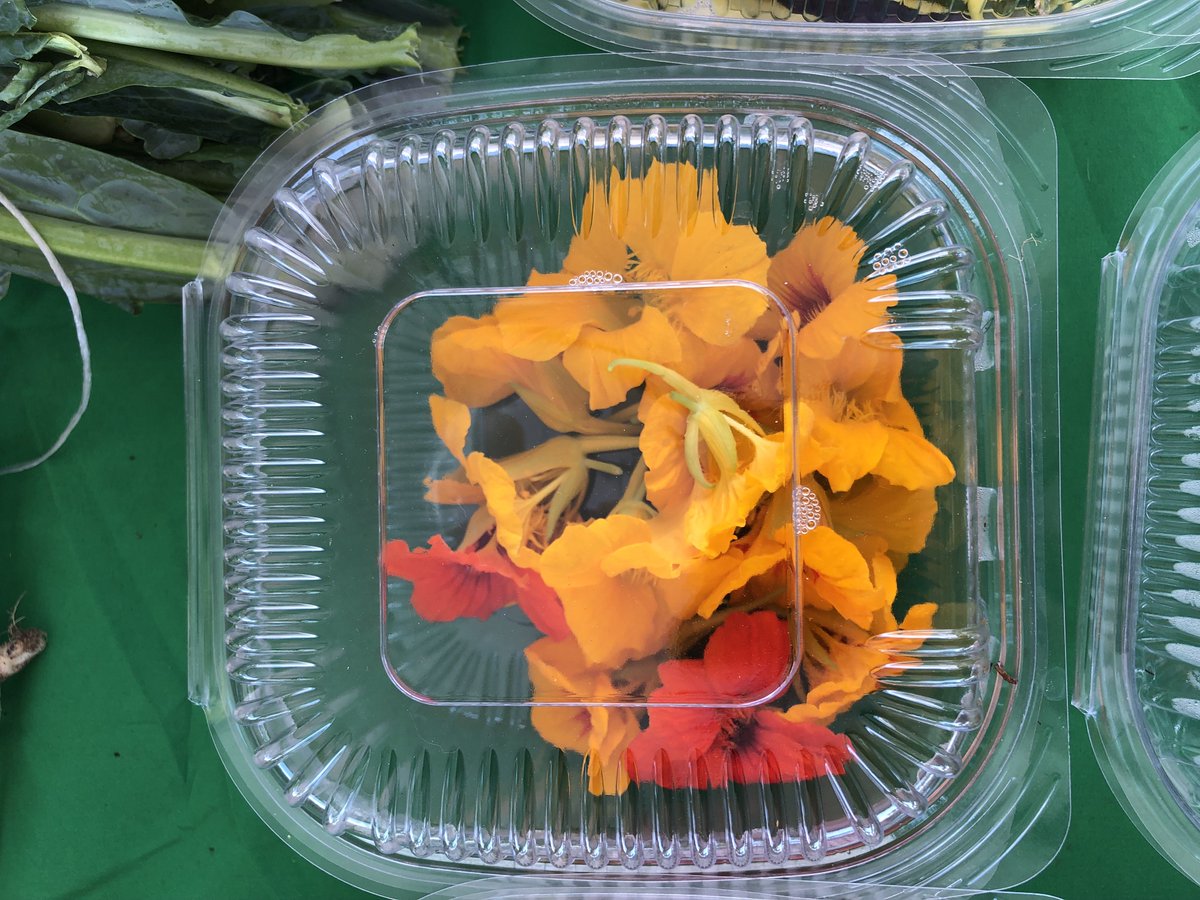 ParramoreMarket's tweet photo. Have you tried edible flowers from @fleetfarming yet? 🌺 They’ll be at the market this Saturday! ☺️

Get $5 bags of produce if you live in area code 32805. Visit their stand to sign up. https://t.co/Kil2IC39S0