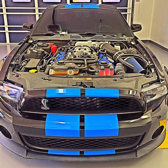 one mean #GT500 on #NationalMustangDay at #COUNTYLINEAUTOBODY •
•
•
•
#horsepower #CLAB #autobody #racingstripes #mustanggt #fordperformance #fordracing #autobodyshop #bodytech #fordmustangGT #mustangweek #mustang_addict #collisionrepair #stance #dra… bit.ly/2XivCCZ