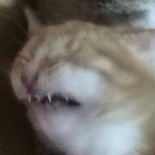 reaction pics (@memes_reaction) on Twitter photo 