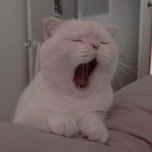 reaction pics (@memes_reaction) on Twitter photo 