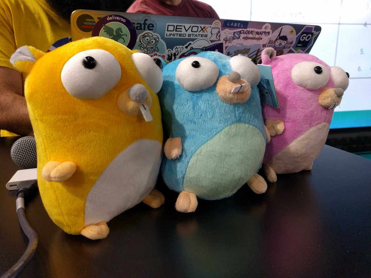 betandr's tweet image. I&apos;m in love with these little guys! #GoLang