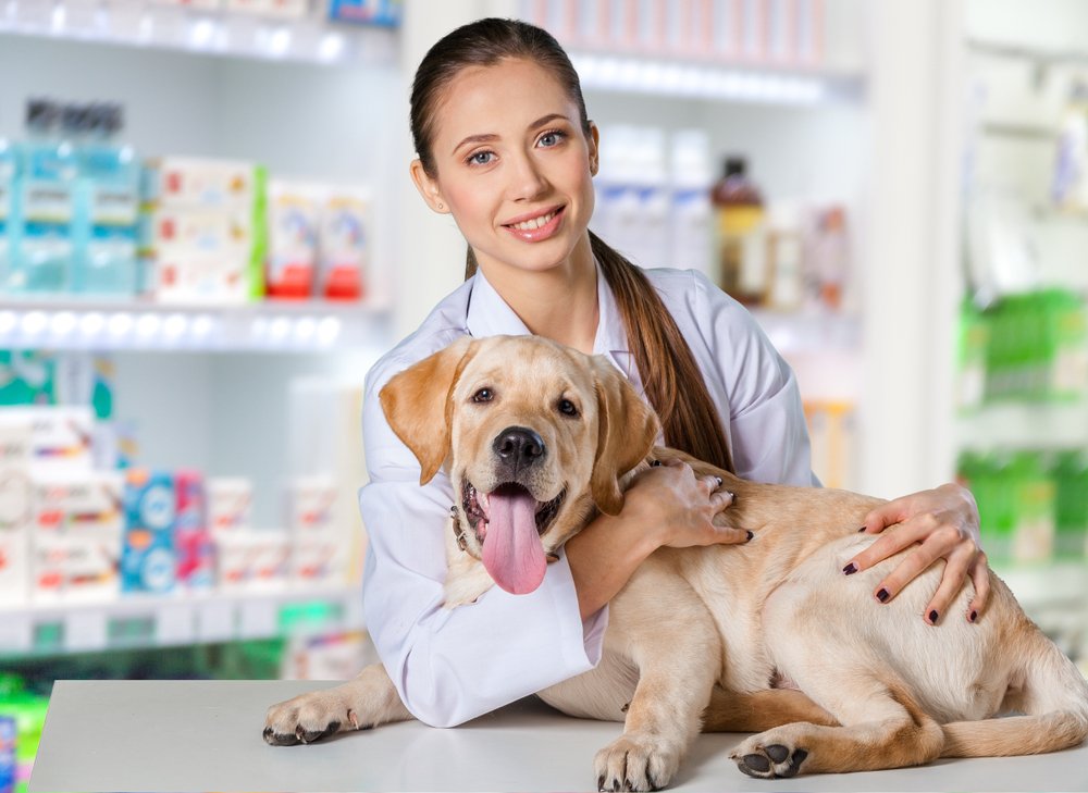 Kynetec’s VetInsight and PetInsight global portfolios provide insights into the companion animal parasiticide market by monitoring the use, intentions and perceptions of veterinarians and pet owners. Learn more: kynetec.com/news/310-globa…