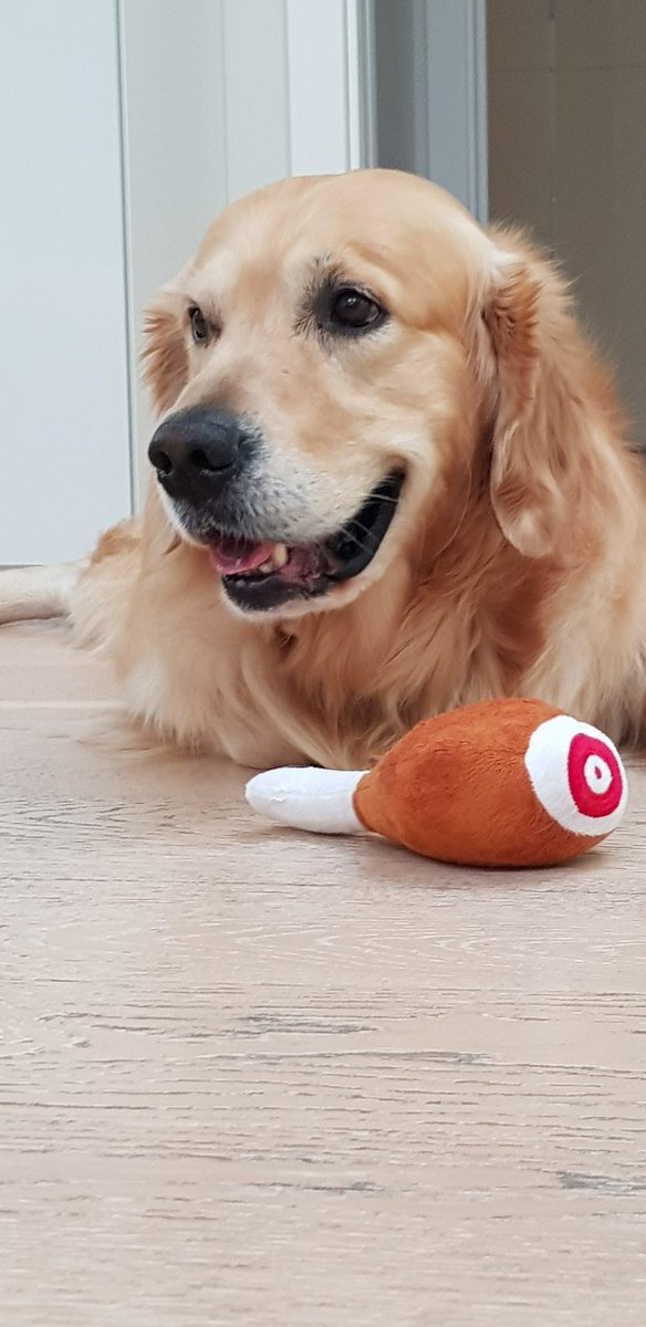 Eva 🐭🇮🇹 tweet media