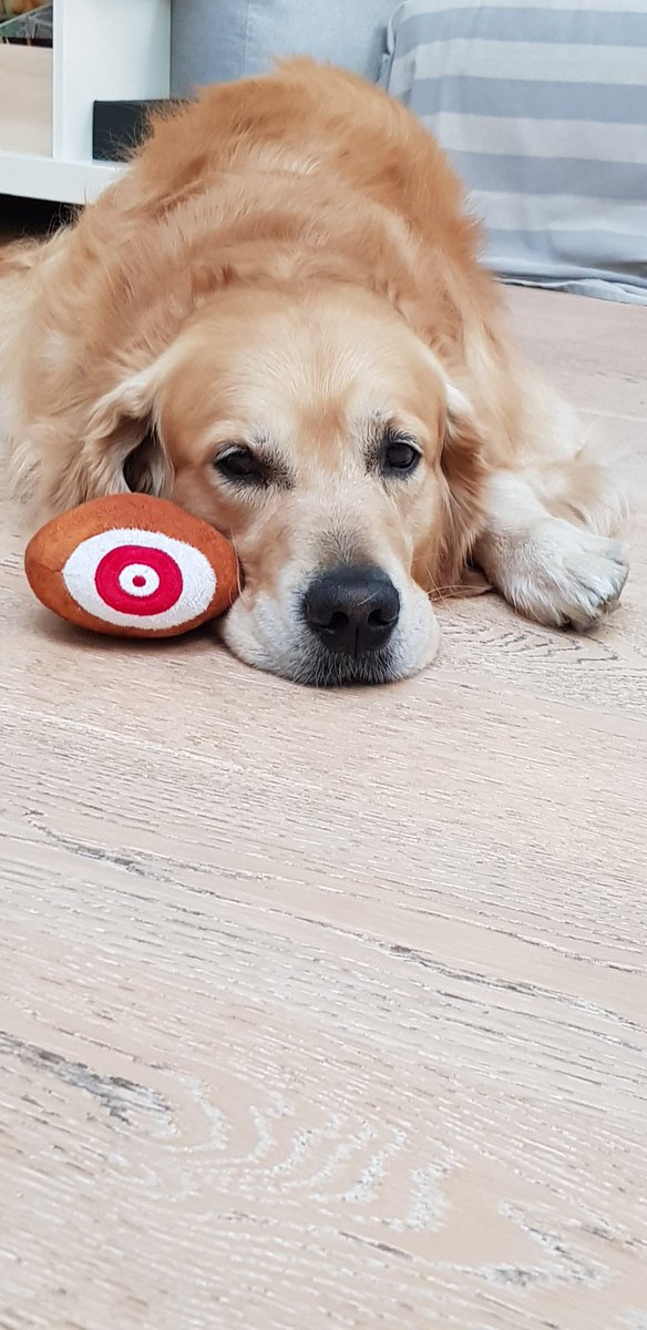 Eva 🐭🇮🇹 tweet media