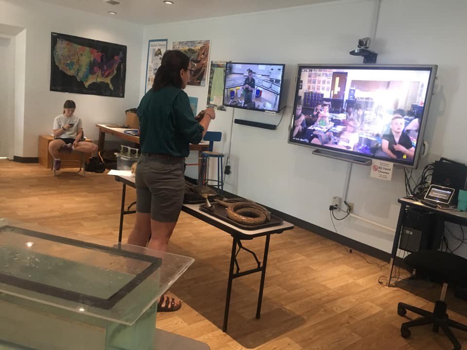 disealab's tweet image. Did you know that we can virtually bring the lesson to your students? It’s a great way to learn from our Discovery Hall Programs educators thanks to the Alabama State Department of Education. #accesslearning #dislexperience #virtuallearning #discoverdisl disl.org/dhp