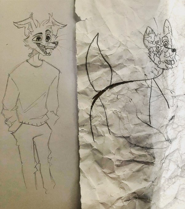 I tried to teach my classmates how to draw furries

close enough 