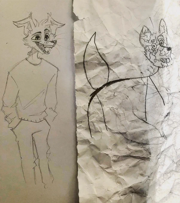 I tried to teach my classmates how to draw furries

close enough 
