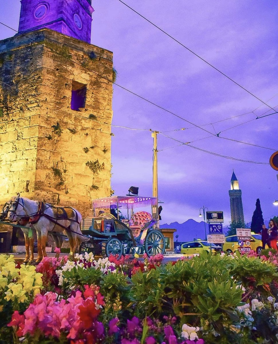 Aşk diyorum anlamıyorsun...