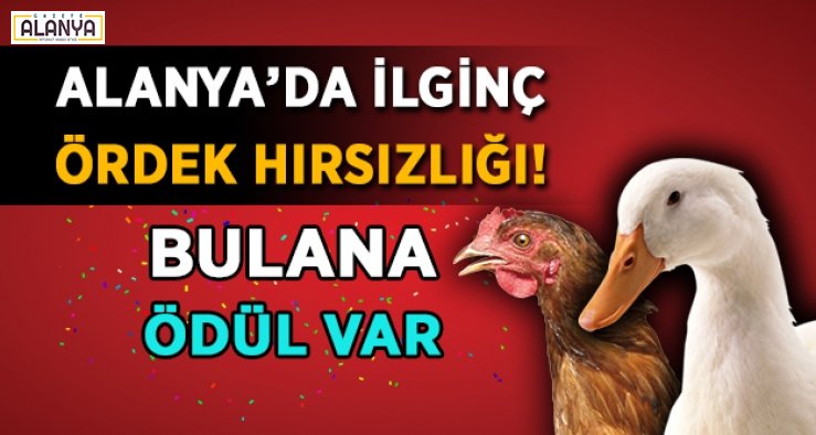 yoncali95's tweet photo. Final Dönemin'de Demir Çağı
En Son Dönemin'de Demir Çağı
Taş Çağı Bronz Çağı ve Demir Çağı İlk Darbe Girişimleri ve Girdapları #DarbeGirişim #DarbeGirişimi
Yepyeni Canlı Yayını 60th Century Fox and Sodapop Channel/Night TV
İller ve Plakalar 01-81, 82-86, 87-95 ve 00 Kıbrıs
😇😈🌩️ https://t.co/4B12YiOPKk