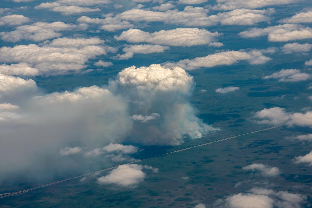StuOstro's tweet image. Mini-#pyrocumulus amidst the cumulus humilis cloud field over the #Everglades  #flwx