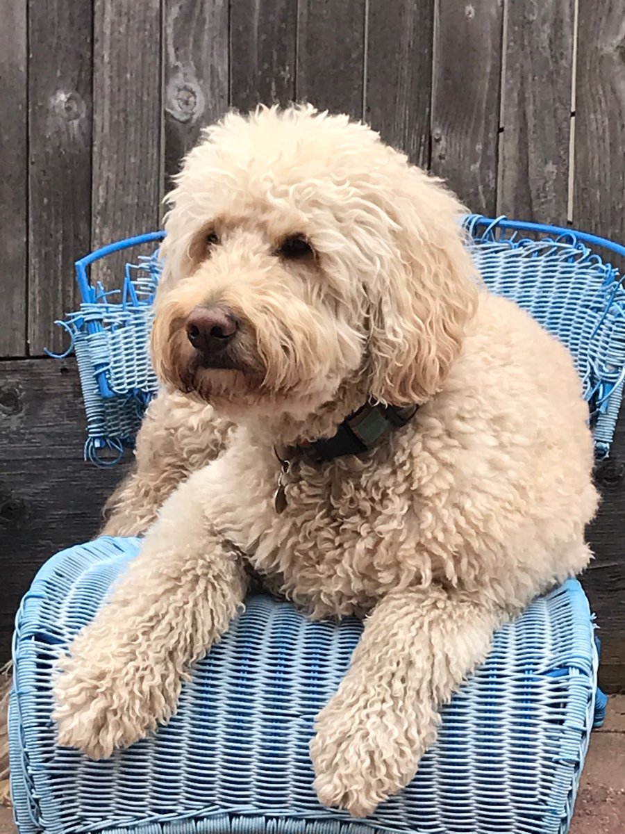 be hippy (@behippy1) on Twitter photo 