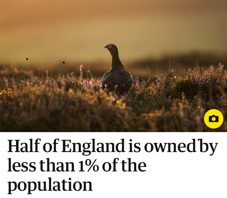 Fordingbridge News tweet media