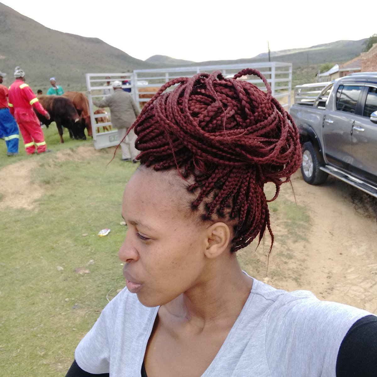 Ntshozi's tweet photo. 🤔How many men do you need to get a few cows to go inside a trailer?.. Yo!😅 #PoorCows 🐮 https://t.co/6ySCJCtCtZ