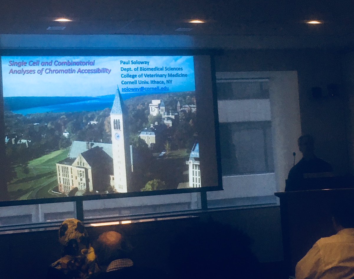 WCM Englander Institute for Precision Medicine (@wcmenglanderipm) on Twitter photo Happening Now: Single Cell & Combinatorial Analyses of
Chromatin Accessibility by Paul Soloway <a href="/CornellBME/">Cornell BME</a>
THEN JOIN #SingleCell User Group 🕒4:00pm 📍Belfer 1401 🍕
Talks by <a href="/AndreaDeMicheli/">Andrea De Micheli, PhD</a> from <a href="/CosgroveLab/">Cosgrove Lab</a> & Phil Burnham @DeVlaminckLab Happening Now: Single Cell & Combinatorial Analyses of
Chromatin Accessibility by Paul Soloway <a href="/CornellBME/">Cornell BME</a>
THEN JOIN #SingleCell User Group 🕒4:00pm 📍Belfer 1401 🍕
Talks by <a href="/AndreaDeMicheli/">Andrea De Micheli, PhD</a> from <a href="/CosgroveLab/">Cosgrove Lab</a> & Phil Burnham @DeVlaminckLab