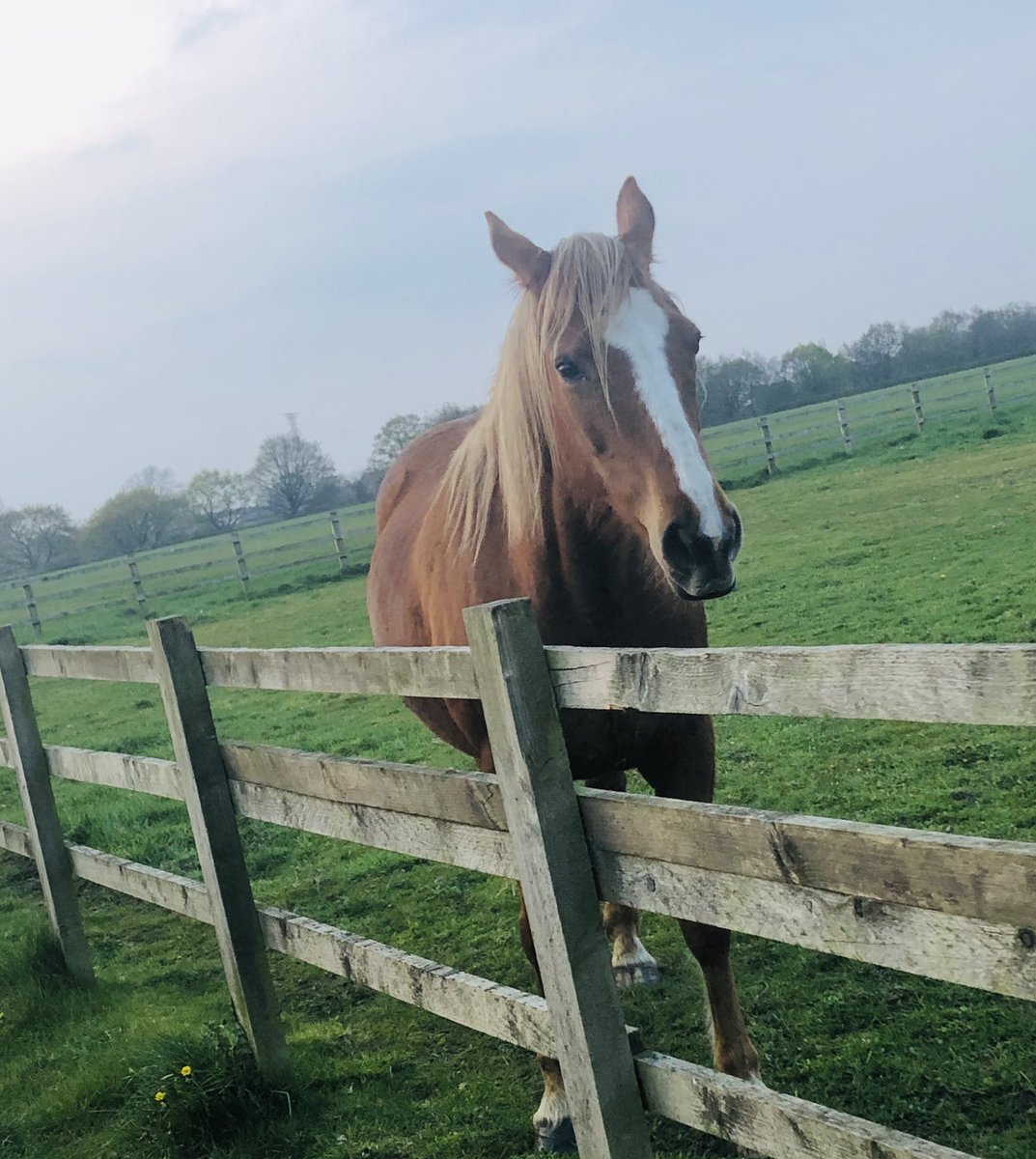 First summer run with <a href="/RunKnutsford/">RunKnutsford</a> 🏃‍♀️💕🦄