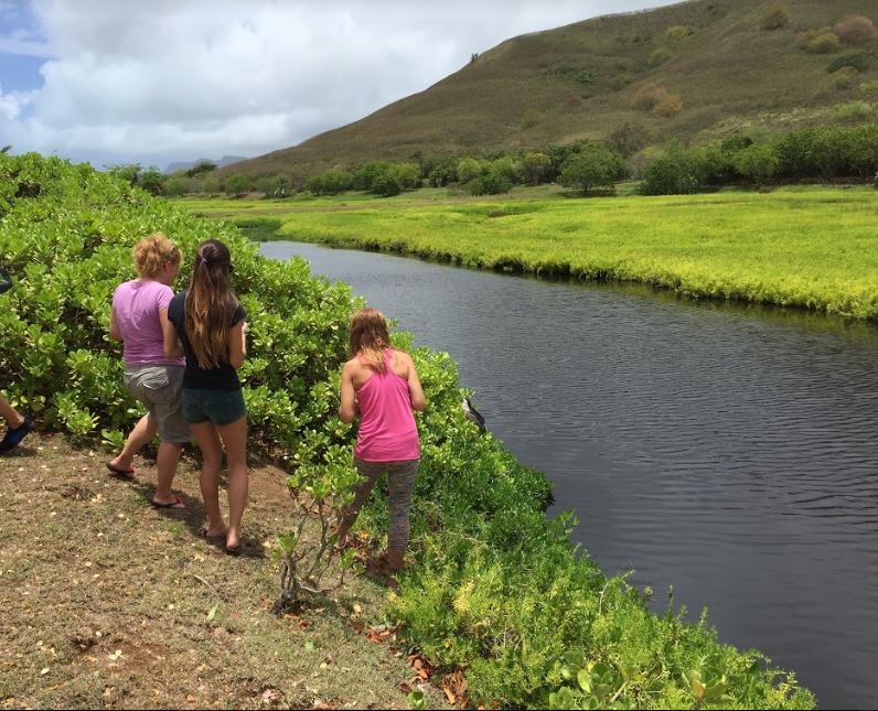 chaminade_ece's tweet photo. What does a typical day look like during our Montessori Summer Institute program? These pictures show the mixture of hands-on activities, demonstrations, &amp; field trips that the program consists of - https://t.co/XsXTCLrvLI https://t.co/ABDxNSIAZx