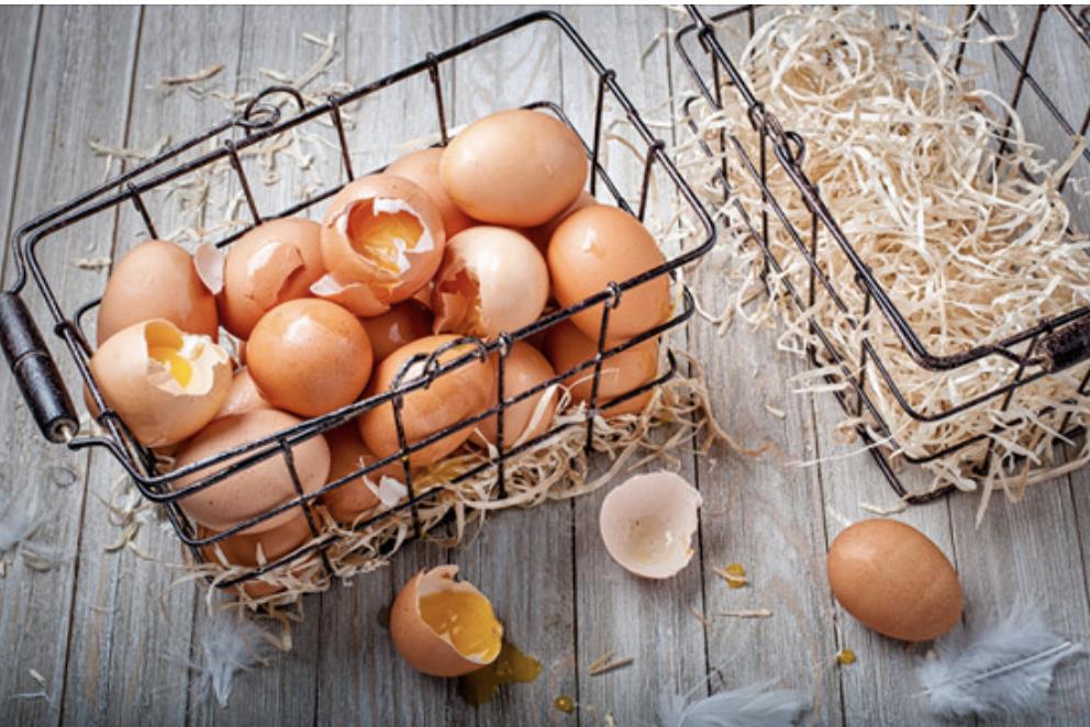 BookBirdPerfect's tweet photo. Want to put all your eggs in one basket?

$99 per month includes:

✔️ Standard Xero business package valued at $60
✔️ Bookkeeping Services valued at $99
✔️ Use of Receipt Bank App valued at $130

 You can cancel any time if you change your mind 🙂
https://t.co/HjZixO2nvS https://t.co/ooKHTBxqP9