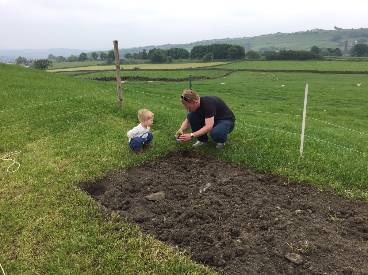 OurCowMolly's tweet photo. Our greatest & most successful #FarmEducationUK idea #PasturePot getting everyone to grow some grass & plant a new bit of pasture. https://t.co/pgI1WgJ6JD